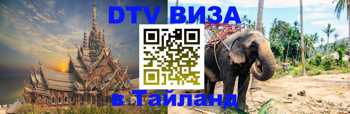 Сколько стоит DTV виза — актуальные цены, оформление даже без документов - Тирана  04.10.2025 